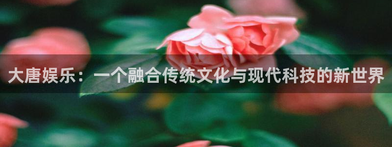 恒盛娱乐登录