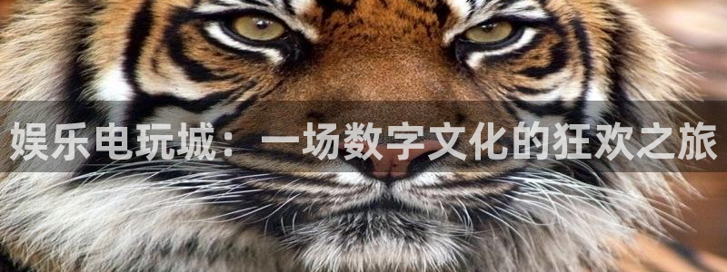 恒盛娱乐官网