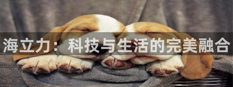 恒盛娱乐
