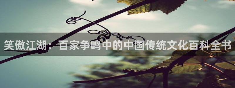 恒盛娱乐